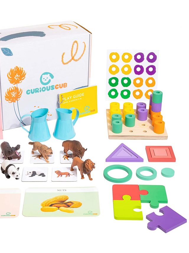 Top 5 Brain Development  Toy for 2 year olds